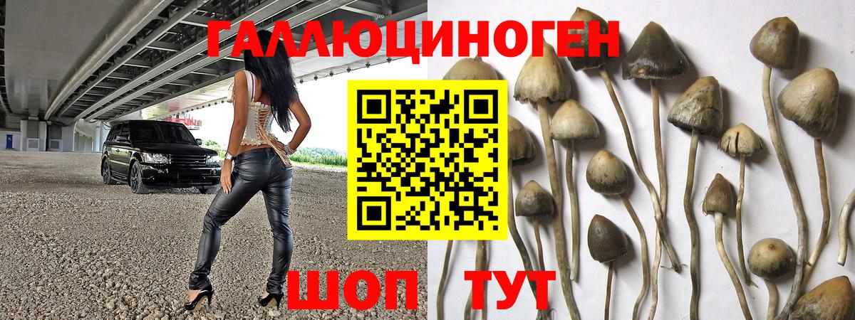 Псилоцибиновые грибы MAGIC MUSHROOMS Волхов